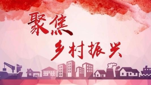 贯彻落实党的十九届五中全会精神 全面推进乡村振兴