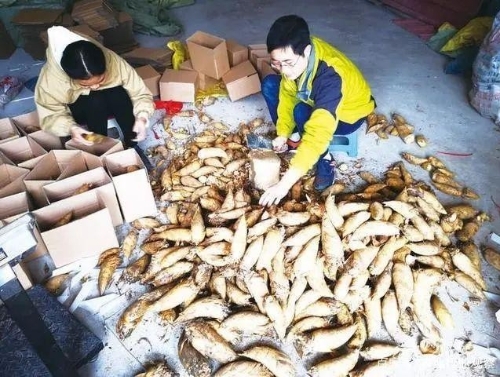 政策：推动农村青年电商交流合作；业内：生鲜领域还未有成功模式