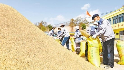 擘画高原特色生态农牧业发展新蓝图