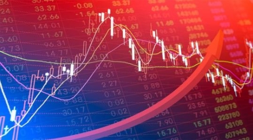 叶冬娜：促进经济社会发展全面绿色转型