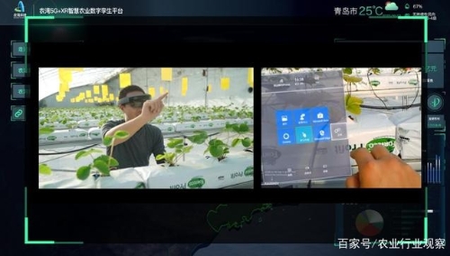 农湾科技紧随国家发改委号召，通过数字技术促进农业转型升级