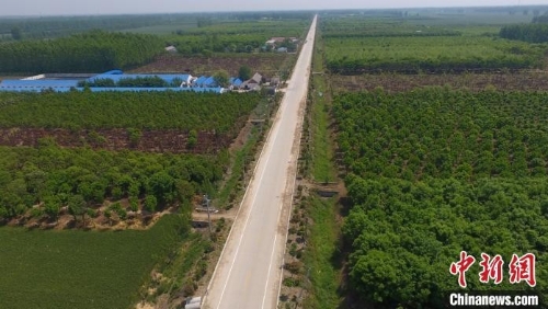 河南黄土地种出“绿色银行” 20年“吸金”超亿元