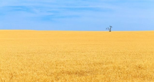 全文｜《济南市生活垃圾减量与分类管理条例》发布！明年5月1日起实施