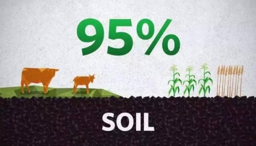 世界土壤日：保护土壤，你我参与