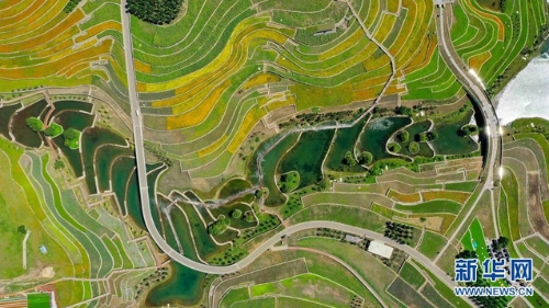 前瞻“十四五”｜把握新发展阶段，构建农业农村新发展格局