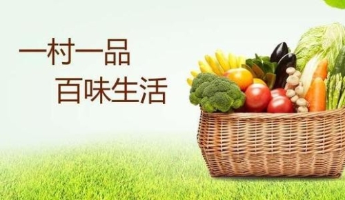 农业农村部推介全国“一村一品”示范村镇