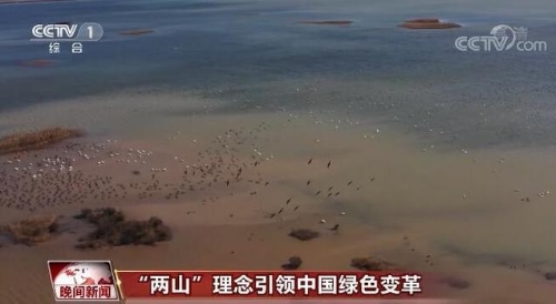 “绿水青山就是金山银山”理念引领中国绿色变革