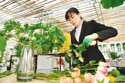 循环农业 绿色发展