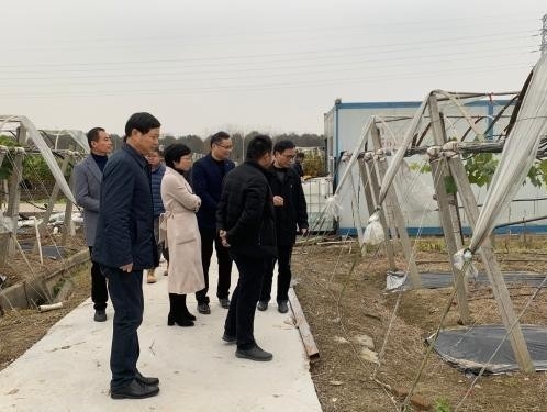 我市完成开展基层农技推广体系建设项目暨高品质绿色科技示范基地交叉验收