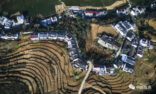 乡村振兴齐鲁论坛｜黄季焜：中国农业要“有所为有所不为”