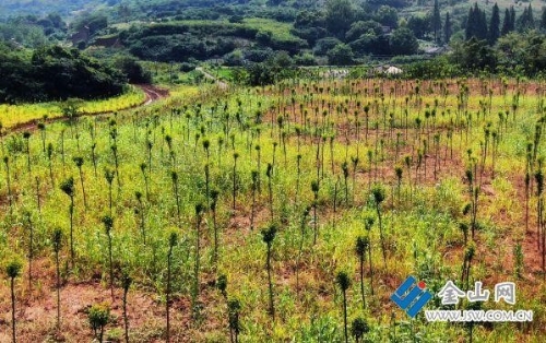 绿色发展，描绘生态发展新画卷