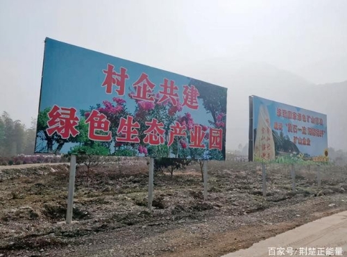 湖北阳新黄颡口镇：“村企联建” 共同打造“绿色生态”产业园