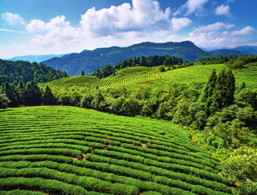 瞭望丨重庆武隆，走好绿色高质量发展之路