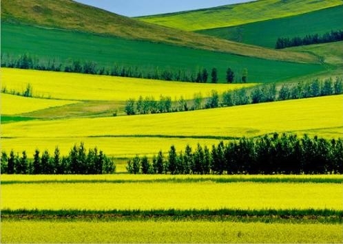 让绿色成为发展的最动人色彩