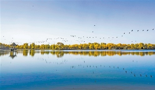 久久为功，绿色发展创美好未来