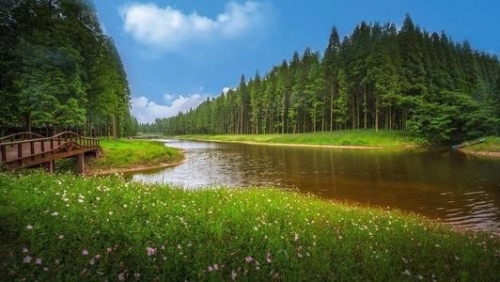 生态农业、自然景观旅游双线发展：解开贫困村变身风景区的绿色密码