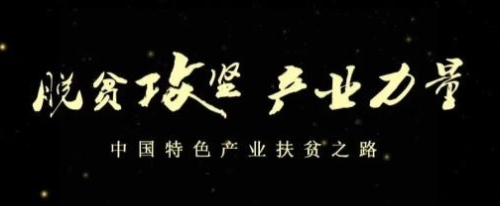 产业扶贫怎么搞？风景这边独好！