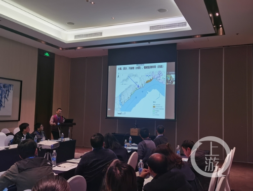 重庆消落带治理成效获专家点赞