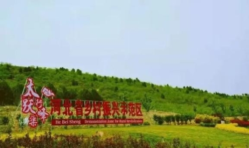 回眸这五年│绿美义井，意气飞扬！