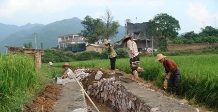 农村人居环境整治三年行动方案目标任务基本完成