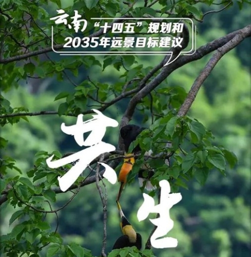 推动绿色发展丨未来，云南生态文明建设有新目标（云南发布）