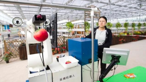 英媒：“智慧农业”助农民开辟新市场