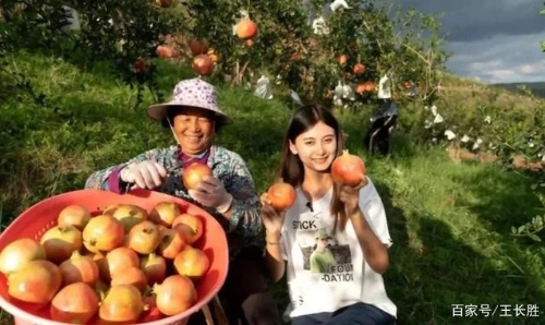 为什么拼多多上的年轻人正奔回农业？