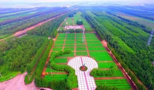 向总书记报告｜这五年，绿色发展步伐更坚定