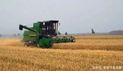 券商：建议关注转基因玉米产业链；京东高管：产地仓溢价农业