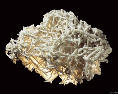 低成本技术将成为未来能源科技发展的主流