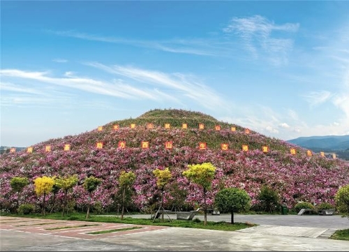 “绿色复苏”：疫情之年的中国经济