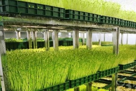 农业农村投资持续增长态势良好