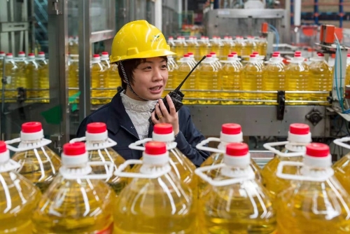 泰州：打造全球领先，全国唯一粮油食品绿色循环产业园