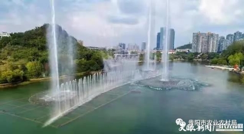 人居环境不断改善！白云区新增城市绿地面积17.33万平方米