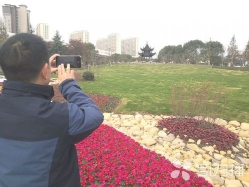 苏州打造高品质绿色生活空间 城市公园免费开放率已达98.4%