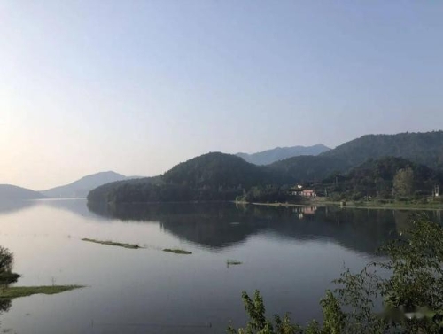 桐城黄甲镇：坚持“五绿”并进，推动绿色发展