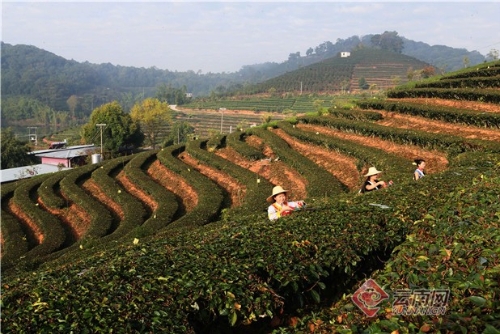 普洱市：着力建设国家绿色经济试验示范区