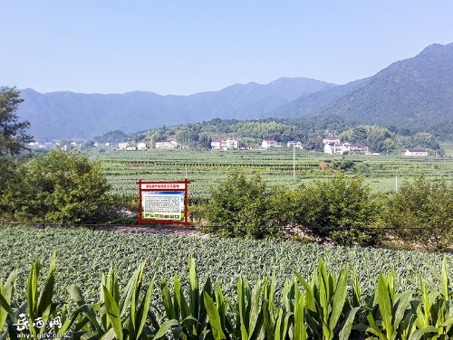 【两会特稿】优先绿色发展，助力乡村振兴