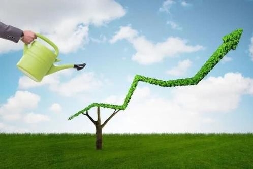 浙江省地方金融监管局张雁云：绿色金融改革创新实践的启示