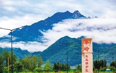 陕西生态环境持续改善 绿色版图由“浅绿”入“深绿”