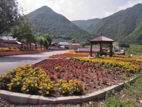 绿色发展赋动能 乡村振兴展新颜