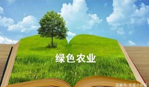 为什么说做绿色农业会亏得一塌糊涂？