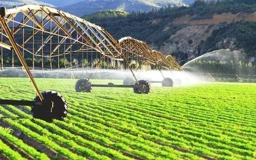 连云港：践行绿色理念 秸秆利用蹚出富民兴村路