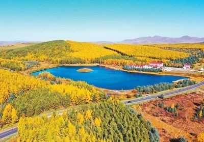 加强农村生态文明建设——以更大力度推动乡村振兴