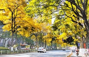 昆明：坚持绿色发展理念 促进人与自然和谐共生