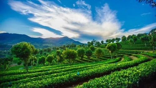 生态+生产+生活=绿色发展——普洱全力推进国家绿色经济试验示范区建设