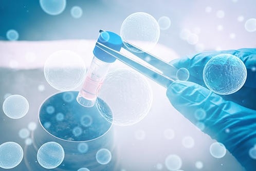 国产CAR-T有望在欧洲首获加速审评“绿色通道”