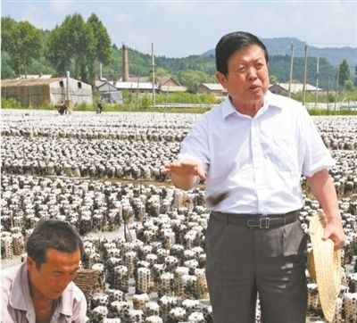 “蘑菇院士”助力产业扶贫（坚持四个面向 解决实际问题②）