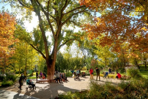 今年北京将增绿16万亩 百姓享受更多绿色福祉