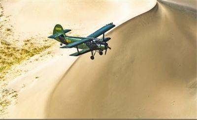 播撒无边的绿色